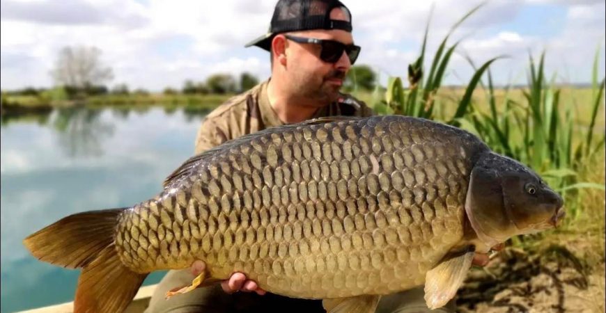 Tom Milson Short Session Success