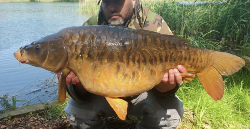 Simon Poll