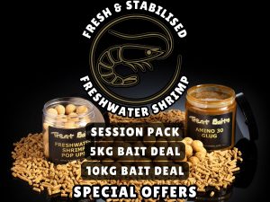 Freshwater Shrimp