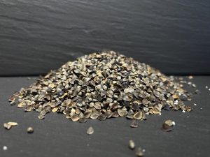 Buckwheat