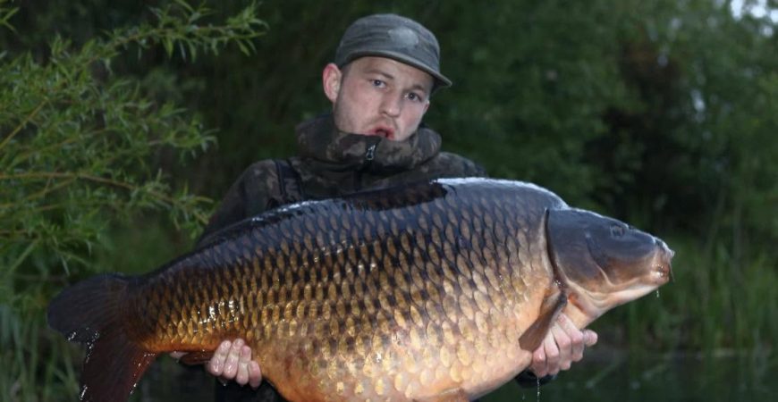Common-64lb