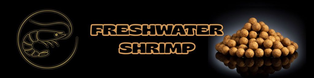 Freshwater Shrimp